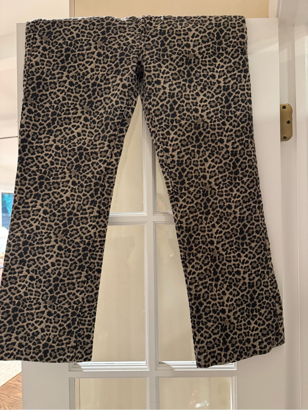 Leopard Print cropped Leg Pants - Beige and Black